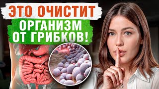 ЭТИ продукты убивают грибок  Как БЕЗОПАСНО избавиться от грибка в организме [upl. by Nnoved]