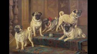 historical changes in pugs over time [upl. by Bonnell]