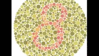 Test for Colour Blindness [upl. by Wager]