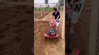 Multifunctional and powerful Zongshen 225 microtillage machine Small microtillage machine🧡🥲 [upl. by Seaman]