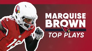 Marquise Hollywood Browns Top Plays from 2021 [upl. by Dorolisa839]