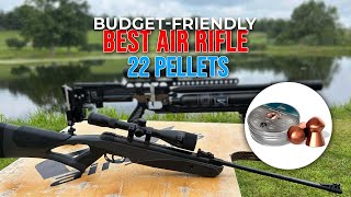 Best Air Rifle 22 Pellets 2024  air rifle expert chooses the best guns for hunting [upl. by Ladnar]