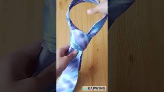 How to Tie a Necktie on Table Van Wijk Necktie Knot  Tie knot Tutorial [upl. by Lau]