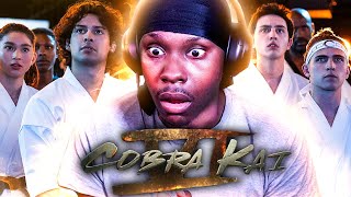 COBRA KAI SEASON 6 PART 2 TRAILER REACTION [upl. by Amory522]