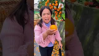 ¡Así Se Cosechan Naranjas en Asia Directamente en Canales de Agua🍊🌊 shorts [upl. by Bridgid]