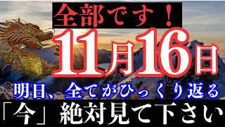 【逃すと2度と見れません】11月16日17時00分までにこれを知ると、2025年以降の運命ががらりと変わり、お金の悩みがなくなります【願いが叶う・運勢が上がる音楽】 [upl. by Ttimme]