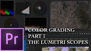 E38  Color Grading with Lumetri PART 1The Scopes  Adobe Premiere Pro CC 2018 [upl. by Eustache]