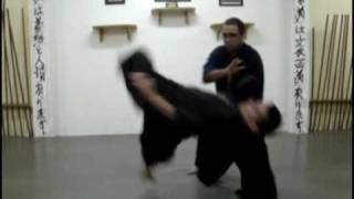 Ogawa Ryu  TanboJutsu Small Documentary 12 [upl. by Redleh473]