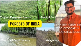 Types of Forest in India  EvergreenDeciduousConiferousThorny amp Mangrove  ANKITH REDDY SIR [upl. by Georgine]