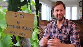 Whats So Special About Côtes du Rhône Wine Pro Explains  WTSOcom [upl. by Airamak470]