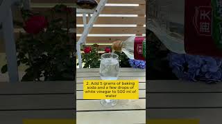 Use baking soda effectively garden gardening plants [upl. by Barrada]