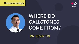 Where do gallstones come from An explanation of the possible causes [upl. by Finer397]