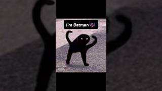 Im Batman 🦇 cat edit meme capcut [upl. by Nylatsyrk]