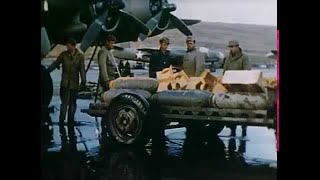 B 17 Flying Fortress Documentary [upl. by Iorio]