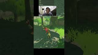 Genshin player FIRST FIGHT in Breath of The Wild zelda zeldabotw genshinimpact raidenshogun [upl. by Aelegna]