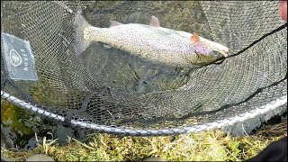 March fly fishing on High Fairbanks Tarn [upl. by Lenno]