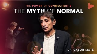 Dr Gabor Maté The Myth of Normal amp The Power of Connection  Wholehearted [upl. by Hezekiah]