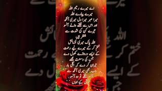 Mere Rahiman allah🤲 YouTube short video Duwa goldenwords love allah muslmano [upl. by Erual]