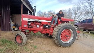 Did I Buy the Farmall 826 [upl. by Olenka]