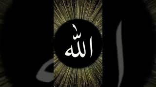 islamicstatus Jis Jaat ka Quran me BHI zikra Jali hai shortyoutube trending [upl. by Sedlik]