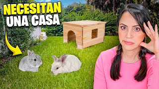 Ahora Hay Que Pensar en una Casa para los Conejitos 🔥 Sandra Cires Vlog [upl. by Fredek4]