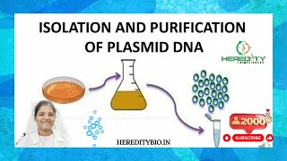 Plasmid DNA Isolation।Alkaline lysis method । Heredity Biosciences [upl. by Misha]