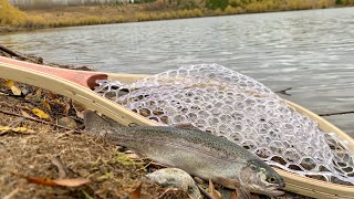 FALL TROUT CATCH amp COOK On A RAINY DAY [upl. by Hamlet]