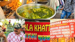 Lajpat Nagar Market Street Food Delhi  Dolma Aunty Momos Golgappe Street Food  india [upl. by Nrubloc]