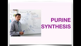 Purine Synthesis De Novo Purine Synthesis [upl. by Isac]