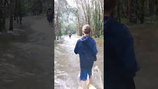 Flooded in kallangur flood foryou fyp viralvideo [upl. by Eirojram]