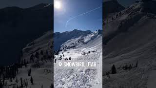 SNOWBIRD Ski Resort UTAH [upl. by Nrev638]