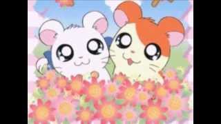 Hamtaro la sigla completa [upl. by Ranique]