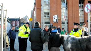 Smithfield Horse Fair Piebald or Skewbald Part 2 [upl. by Ardnos]