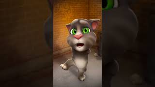 talking Tom cat funny comedy ll Billi comedy [upl. by Sly612]