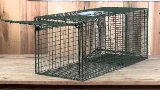 Heavy Duty Large Animal Trap [upl. by Netsirc]