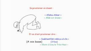 Apprendre La Prière Salat El Dohr  2ème prière de la journée [upl. by Sevart609]