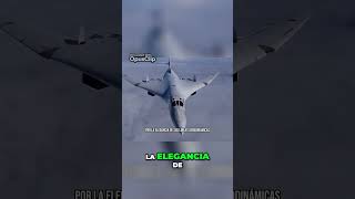 El BOMBARDERO Más Grande y Elegante del MUNDO VIDEO COMPLETO EN EL CANAL [upl. by Ellenaej]