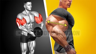 Best Bicep and Tricep Workout for Bigger Arms [upl. by Laup]