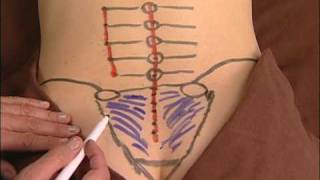 Anatomy Drawing of the Sacroiliac Ligaments [upl. by Clougher968]