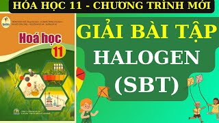 HALOGEN  HƯỚNG DẪN GIẢI BÀI TẬP SÁCH BÀI TẬP CÁNH DIỀU HÓA 11 MỚI [upl. by Nossaj402]