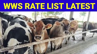 WORLD WIDE SIRES RATE list 2024 [upl. by Ahsekan]