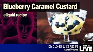 Blueberry Caramel Custard DIY EJuice Recipe [upl. by Alimat]