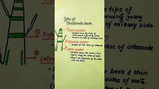 Types of Meristematic tissue meristematic tissue science apical meristem intercalary lateral [upl. by Bick748]