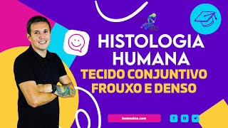 Histologia Humana  Tecido conjuntivo Frouxo e Denso [upl. by Leihcim]