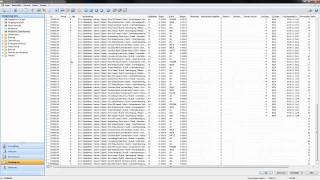 BSS Software für Dienstleister Planwerte in der Zeiterfassung im classic client [upl. by Macmillan]