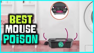 Best Mouse Poisons in 2023  Top 5 Picks  See This Before You Buy [upl. by Esele]