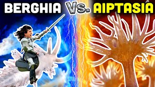 DESTROY Aiptasia with Berghia Nudibranchs Everything You Need to Know [upl. by Molloy]