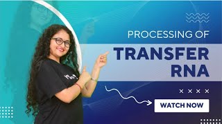 tRNA processing  Molecular Biology  Life Science  Dr Charanjeet Kaur [upl. by Vaughan509]