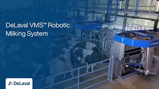 DeLaval VMS™ Robotic Milking System [upl. by Eenar]