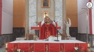 Catholic Mass Today Friday 3 June 2022 [upl. by Ainotal]